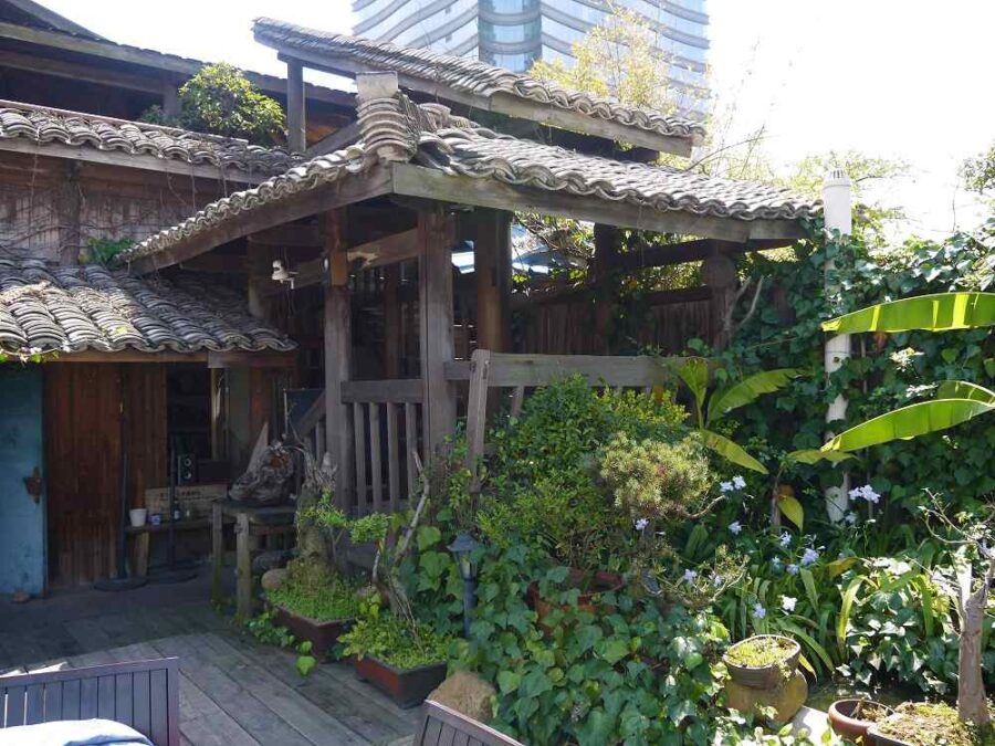 Rooftop Café: Coffee with a Side Of City Scenery